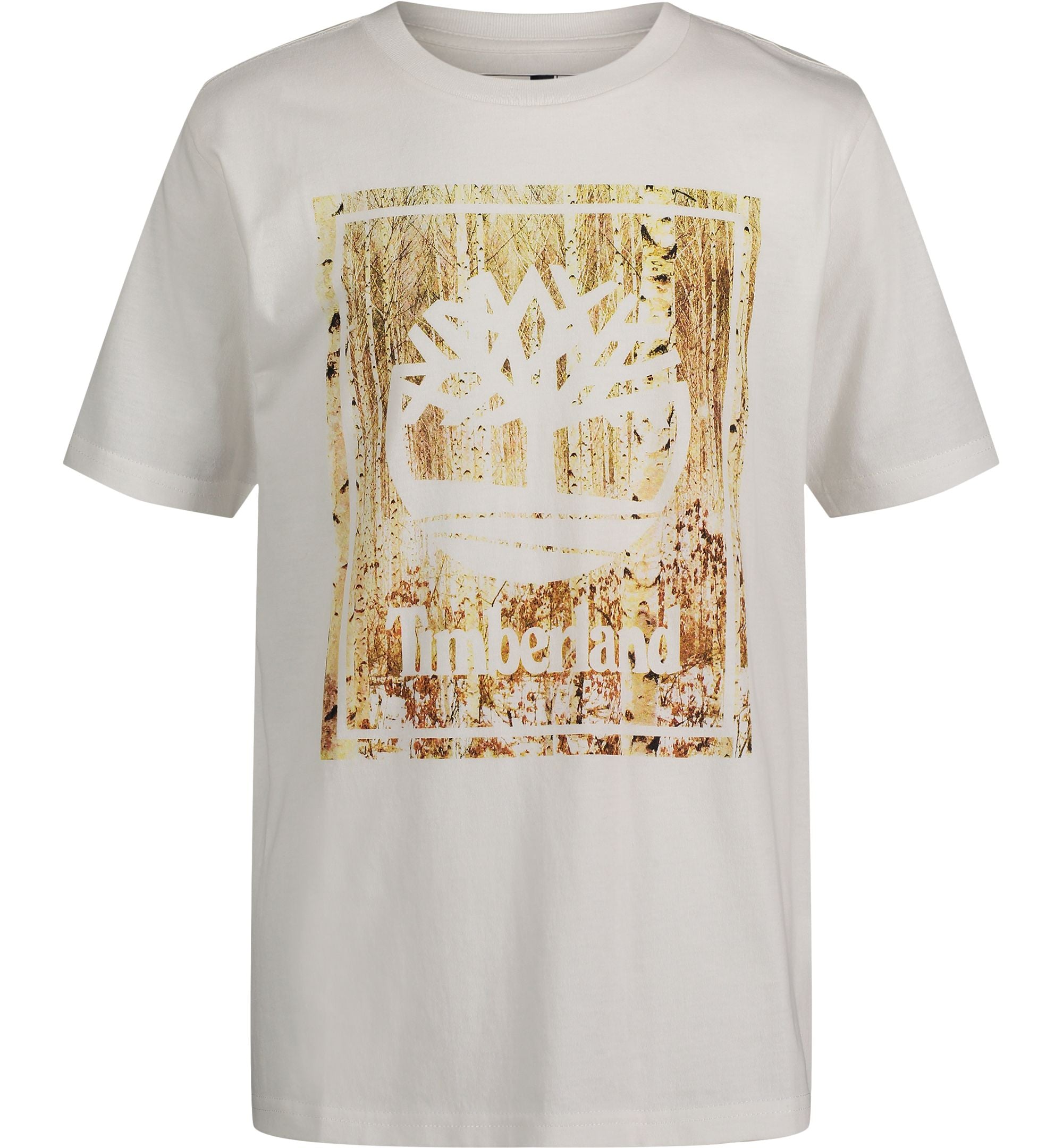 Big Boys Tree Photo Short-Sleeve T-Modern Shirt